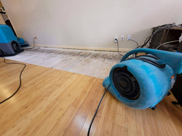 Professional Water Damage Repair technician working in Bethune, SC
